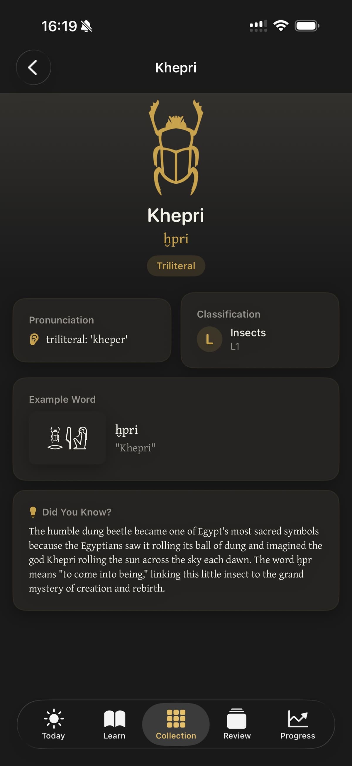 Hierolyte Today tab - daily glyph reveal