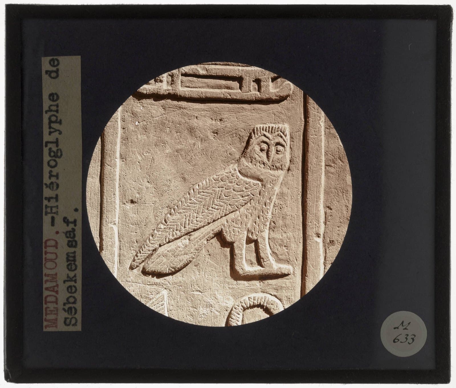 Archival photograph of a carved owl hieroglyph from the temple of Montu at Medamud