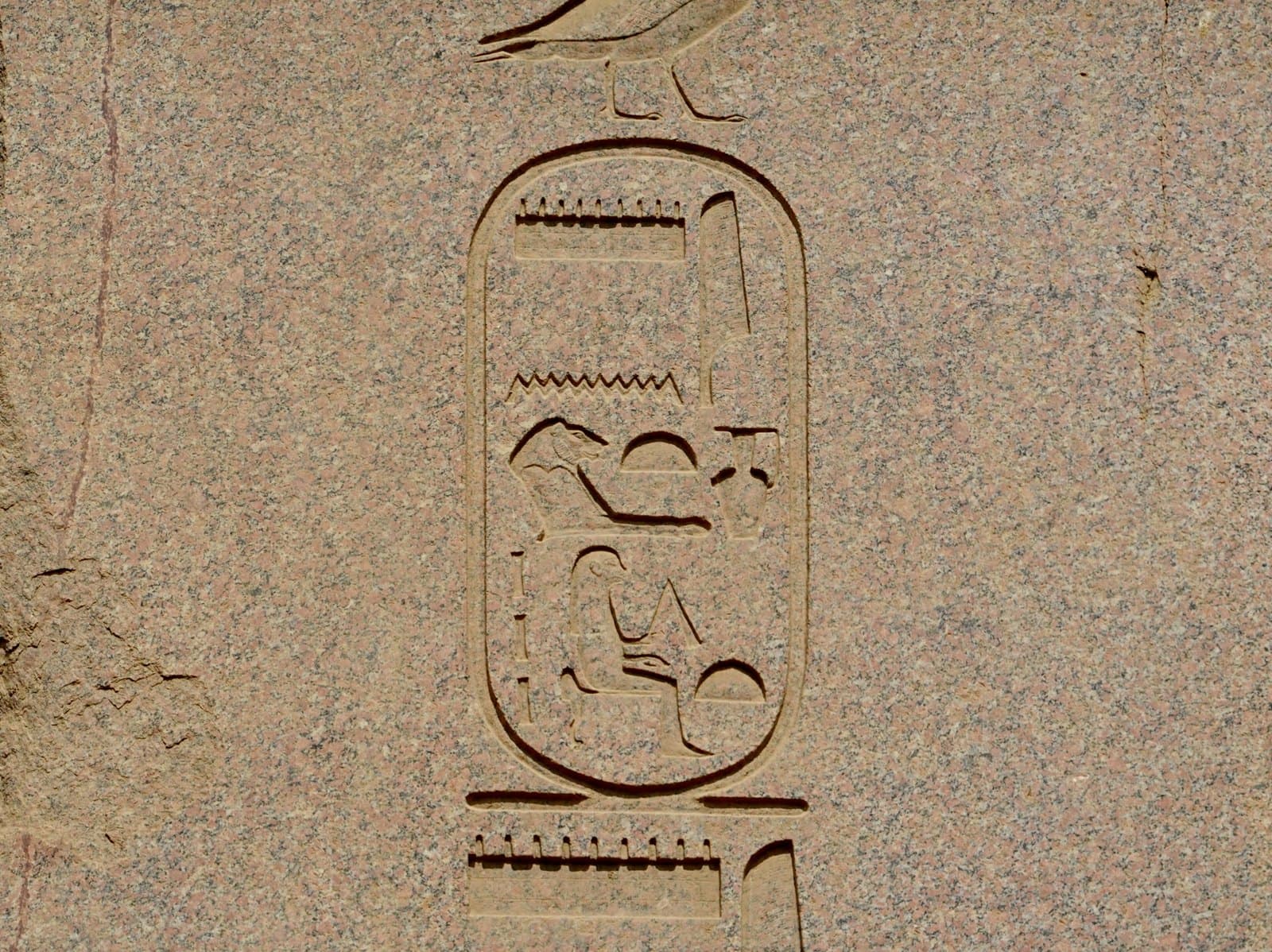 A royal cartouche of Hatshepsut carved into the pink granite of her obelisk at Karnak