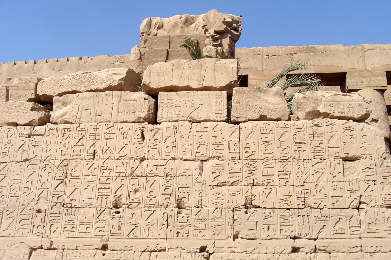 A Karnak temple wall densely covered in carved hieroglyphs