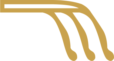 The Egyptian hieroglyph known as the hair sign, D3