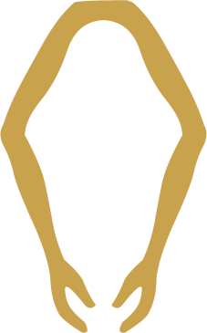 The Egyptian hieroglyph known as the arms embrace sign, D32