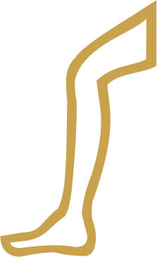 The Egyptian hieroglyph known as the leg sign, D56