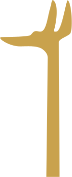 The Egyptian hieroglyph known as the head and neck sign, F12