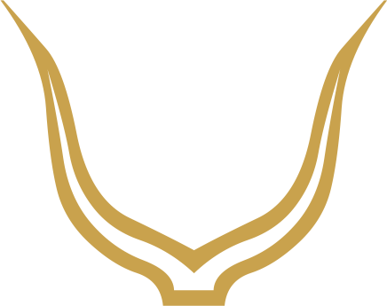 The Egyptian hieroglyph known as the horns sign, F13