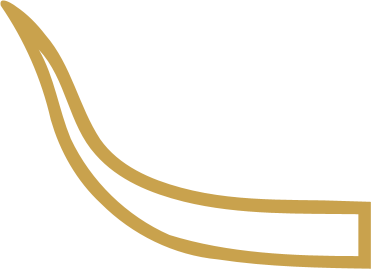 The Egyptian hieroglyph known as the horn sign, F16
