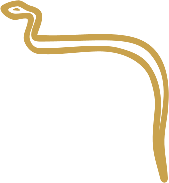 The Egyptian hieroglyph of a cobra, the sign for the sound ḏ