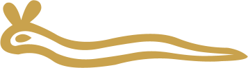 The Egyptian hieroglyph of a horned viper, the sign for the sound f