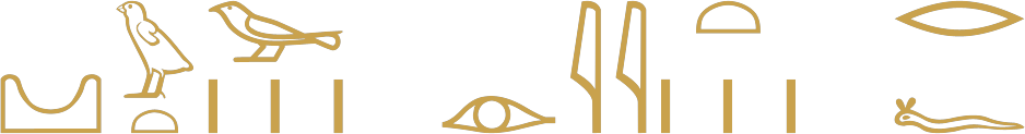 The Egyptian phrase the wrongs done to him written in hieroglyphs: a mountain, a chick over a loaf, a sparrow over strokes, an eye, two reeds, a loaf over strokes, a mouth over a viper