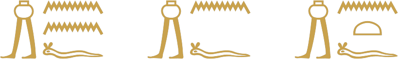 The Egyptian words he brings, in three forms, written in hieroglyphs: a pot on walking legs, then two water signs, one water sign, or water and a loaf, each over a horned viper