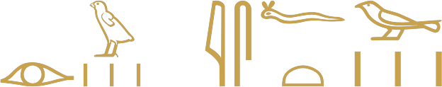 The Egyptian phrase those who do wrong written in hieroglyphs: an eye, a chick over strokes, a reed leaf, a folded cloth, a viper over a loaf, a sparrow over strokes