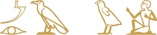 The Egyptian sentence see me written in hieroglyphs: a sickle over an eye, a vulture, then a quail chick and a seated man