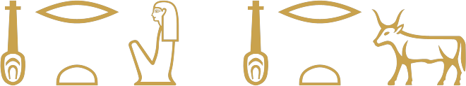 The Egyptian word nfrt written twice in hieroglyphs, once with a woman determinative and once with a cow