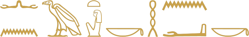The Egyptian sentence your mother is not with you written in hieroglyphs, with a vulture for mother after the negative nn