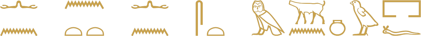 The Egyptian sentence there was nothing which was not within it in hieroglyphs: arms, water; water, two loaves; arms, water; cloth, loaf; owl, goatskin, water, pot, chick, house, viper