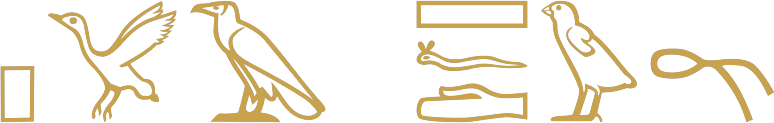 The Egyptian phrase this papyrus roll written in hieroglyphs, beginning with a small square for p, a pintail duck and a vulture