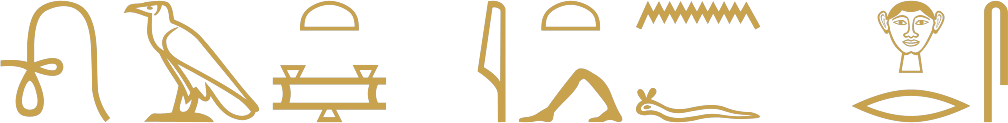 The Egyptian phrase the road on which it came written in hieroglyphs: a lasso, a vulture, a loaf over a road, a reed leaf, a loaf over walking legs, water over a viper, a face, a mouth, a cloth