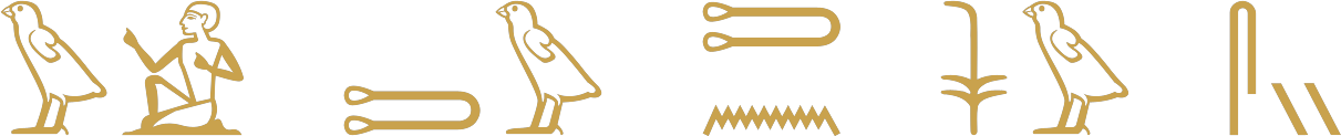 The five singular Egyptian dependent pronouns in hieroglyphs: a quail chick and seated man, a tethering rope and chick, a rope over water, a plant and chick, and a folded cloth with two strokes
